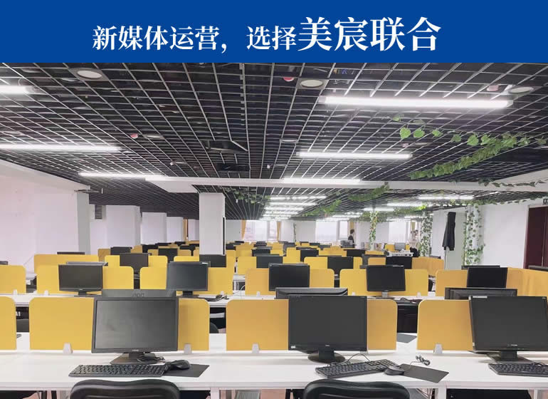 新(xīn)媒體(tǐ)運營